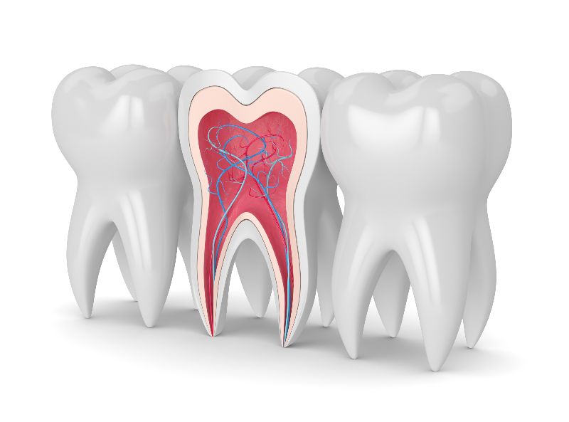 601842d859b029f2153848d8 Root Canal Therapy Service Img